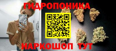 тгк Мариинск