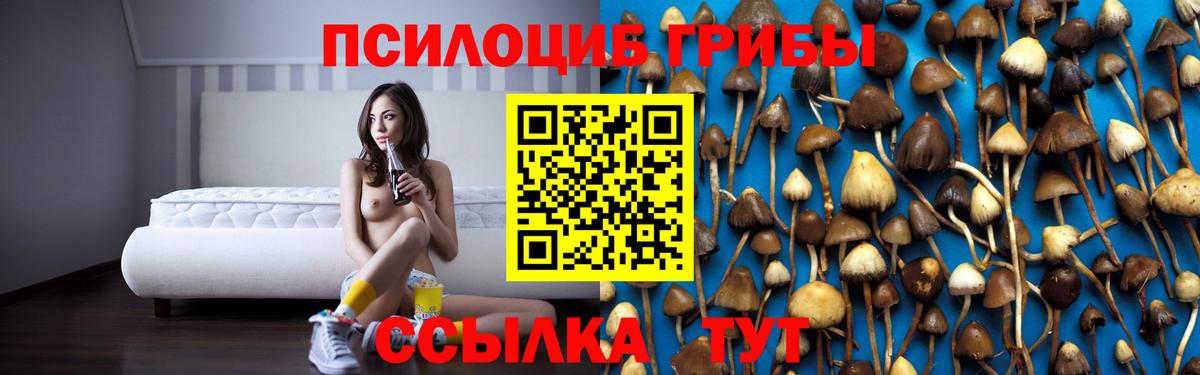 Шали  Галлюциногенные грибы Psilocybe  Вход с VPN 